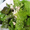 maruru-nn's cooksnap of when they made 超簡単！　ツナとレタスのシンプルサラダ。.