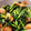 aimama035's cooksnap of when they made 簡単美味ほうれん草とウインナーのマヨ炒め.