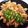たいちゃ〜ん's cooksnap of when they made 竹輪の生姜醤油炒め.