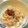 進ママ's cooksnap of when they made 新玉ねぎのツナ和え.