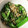 はむたろくくたん's cooksnap of when they made さやえんどうバター炒め.