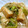 たかばツマ's cooksnap of when they made 厚揚げの野菜あんかけ.