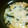 olive11's cooksnap of when they made 居酒屋の定番☆長芋とろとろ焼き☆.