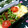 キャシーキャサリン's cooksnap of when they made えのき炒め.