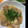 ゆりえーぬん's cooksnap of when they made 鶏とネギのレモン炒め.
