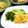 SP♪'s cooksnap of when they made 切り干し大根の酢の物♪.