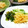 SP♪'s cooksnap of when they made 切り干し大根の酢の物♪.