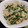 さくらもち姫's cooksnap of when they made 材料３つで　ニラとモヤシの卵炒め.