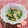 ☆ポメ☆'s cooksnap of when they made 筍とサヤエンドウの節つゆヨーグルト和え.
