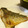 おつね's cooksnap of when they made ぶりの塩焼き.