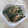 miyuki12's cooksnap of when they made ニラとえのきの和え物.