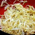 創作料理屋YUI's cooksnap of when they made もやしのブラックペッパーにんにく醤油和え.