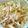 紗重桂's cooksnap of when they made らっきょうの醤油漬け.