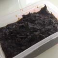 ゆ〜あたん's cooksnap of when they made 簡単♫ひじき入り☆海苔の佃煮♫.