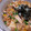 ＨＥＷＡ's cooksnap of when they made しめじと揚げ玉のきのこ丼.