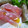 mikkusan's cooksnap of when they made トマトの生ハム巻き.