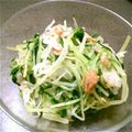ちゅんごろー's cooksnap of when they made 大根と水菜のツナサラダ.
