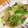 ogu18's cooksnap of when they made 白菜とザーサイの炒め物.