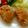 ぽよぽよちぃ's cooksnap of when they made ＊れんこんのはさみ焼き＊.