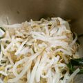 まめちゃんの友達's cooksnap of when they made もやしのナムル.
