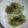 けいよせふ's cooksnap of when they made ねぎ焼き.