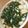 Chisa−Rin's cooksnap of when they made ＊ニラ豆腐＊.