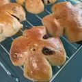 hitokochan's cooksnap of when they made HB＊簡単くるみレーズンパン.
