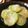 711ai's cooksnap of when they made ヘチマの中華炒め.