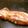 ぐーたらレシピ研究所's cooksnap of when they made イカの鉄板焼き(フライパン）.