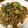 ちづお's cooksnap of when they made ささっと韓国食★ズッキーニと薄切りラム肉.