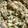 クリレポ♪'s cooksnap of when they made ほうれん草と糸こんの白和え.