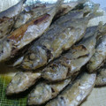 たじ満塁's cooksnap of when they made 豆あじのから揚げ >゜)))彡.