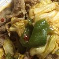 さぷりんご's cooksnap of when they made 簡単！早い！基本の回鍋肉.