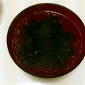 ayako2525's cooksnap of when they made お湯を注ぐだけの簡単わかめスープ.