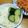びすこのこ's cooksnap of when they made 水きゅうり [浅漬け].