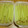 Andy♪'s cooksnap of when they made ふきの下ごしらえ.