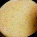 りょうびん's cooksnap of when they made 子供喜ぶかぼちゃスープ★ミキサー不要.