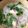 shoil's cooksnap of when they made シャトルシェフで鶏そば.