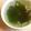 あさここなっつ's cooksnap of when they made 簡単シンプル★あったかワカメスープ♪.