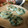 文福はむ吉's cooksnap of when they made ツナとほうれん草のおやき(離乳食).