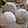 ひじりっぺ's cooksnap of when they made いちご大福.