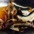 tomo家族's cooksnap of when they made イワシの煮付け.