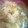 料理苦手まま's cooksnap of when they made １０分！で作ろう「レタスと春雨の中華スープ」　.