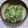 すがみほ's cooksnap of when they made 大根菜とじゃこの山椒煮.