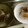 toshiebaba's cooksnap of when they made 生春巻きの皮で♡酒かす餡の薄皮大福.