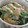 ナオパンマン's cooksnap of when they made さやえんどうのツナごまマヨ和え.