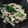 ちかぼ♪'s cooksnap of when they made えのきとニラのヌルヌルおつまみ.