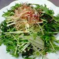 ぶぶくん's cooksnap of when they made サラダ水菜だけ♪シャキシャキサラダ.
