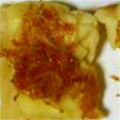 ma___111's cooksnap of when they made ちりめんさんしょうのチーズトースト.