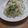 ちさときママ's cooksnap of when they made レタスと新玉ねぎのチーズマヨサラダ.